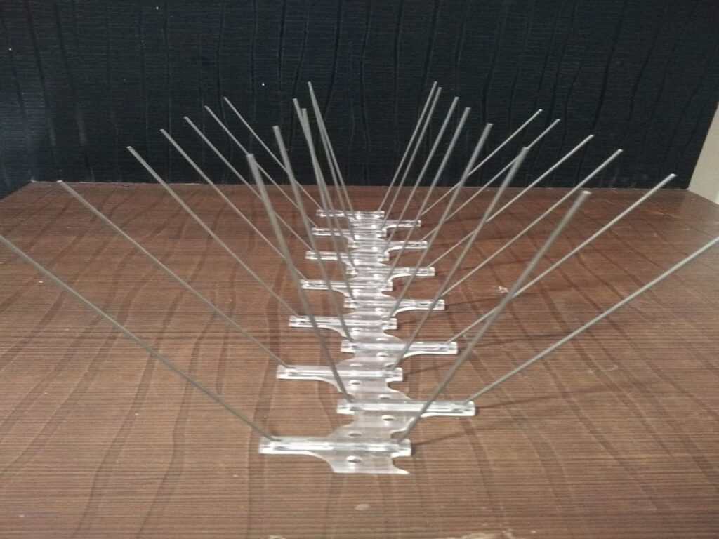 bird spikes, pune, pimpri chinchwad(PCMC)