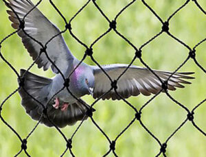 Pigeon Netting For Balconies