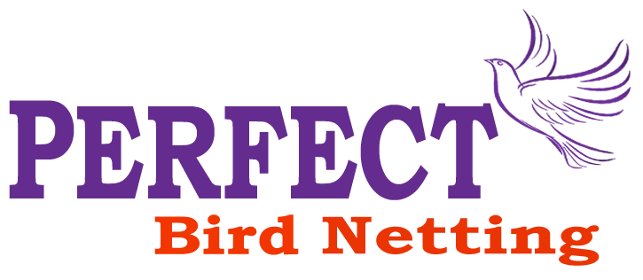 Bird netting service in Pune and PCMC