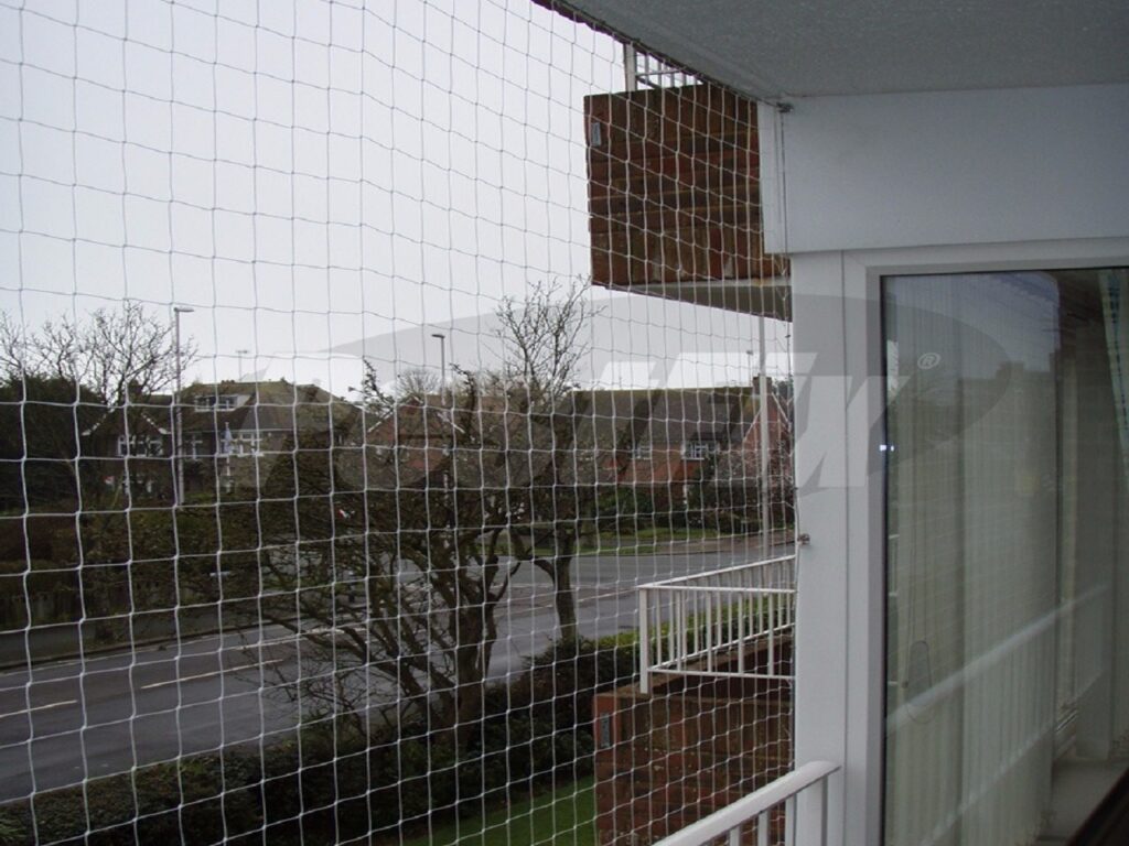 residential bird