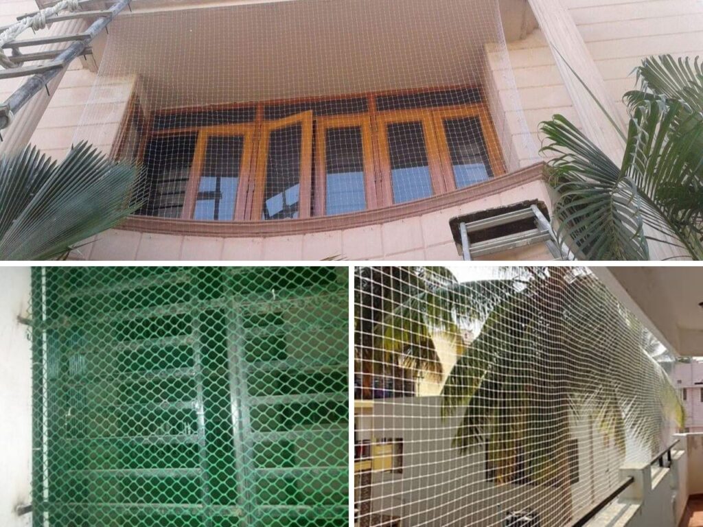 residential_bird_net_final