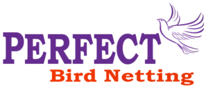 Bird netting service in Pune and PCMC